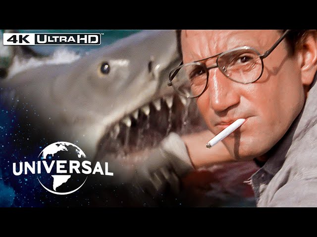 Jaws | "You’re Going To Need a Bigger Boat" | Shark Attacks Chief Brody in 4K HDR