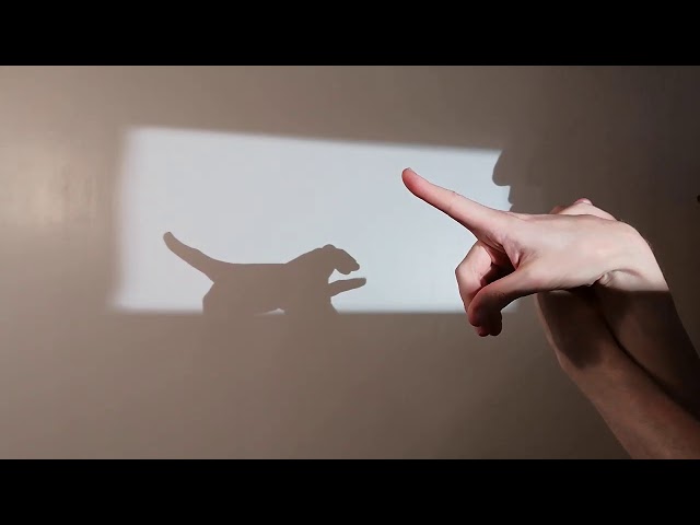44 How to make a hand shadow tiger