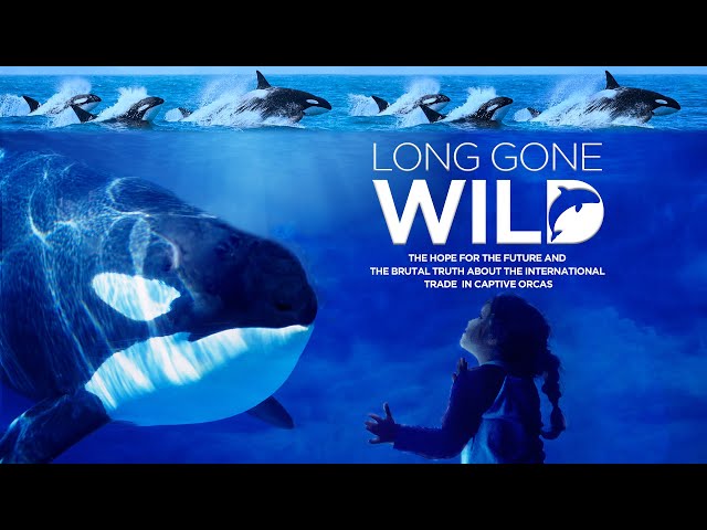 Long Gone Wild (2019) Full Documentary Movie Free - Richard O'Barry, Naomi Rose, Charles Vinick