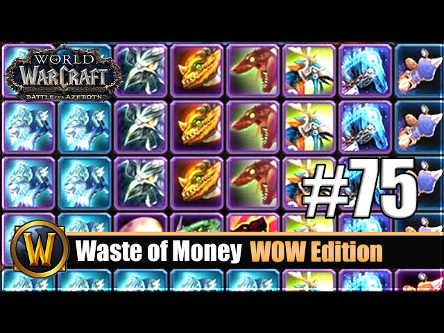 Waste of Money WOW Edition #75