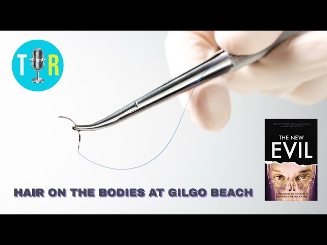 New Disturbing Details Emerging on the Gilgo Beach Cases - The Interview Room with Chris McDonough