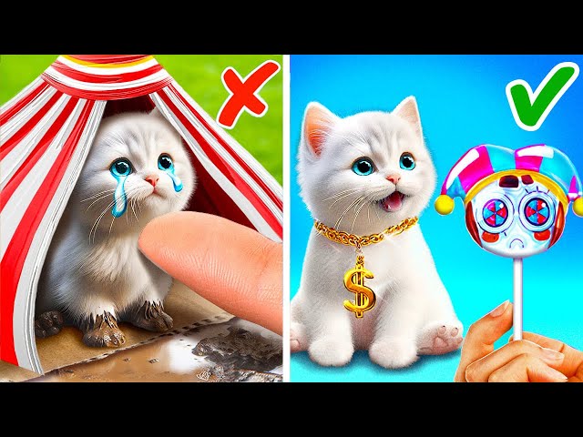 Digital Circus Saved Tiny Kitten 😺 *Best Crafts And DIYs From My Pet*