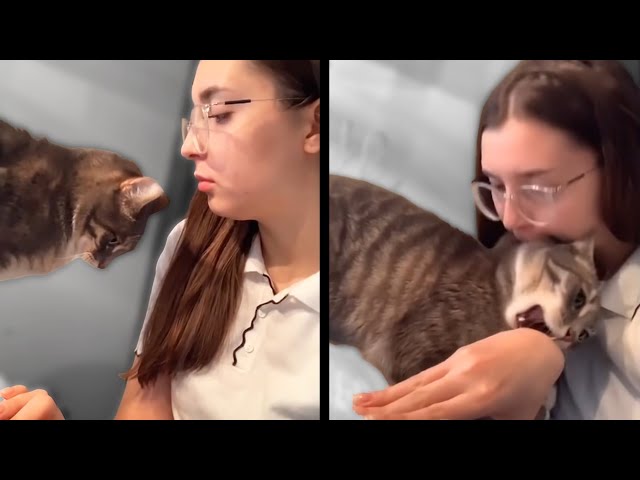 Girl Bites Her Cat Back