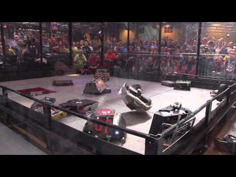 Robot Wars Gladiator fight - 18 robot free-for-all | Robochallenge 2015