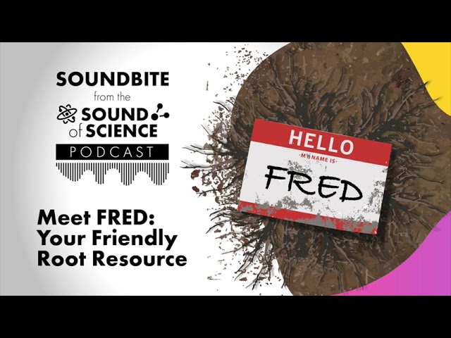 Soundbite: Meet FRED — Your Friendly Root Resource