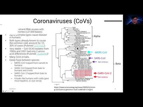 COVID-19/Coronavirus