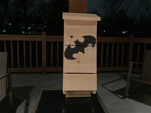 DIY Bat House Build