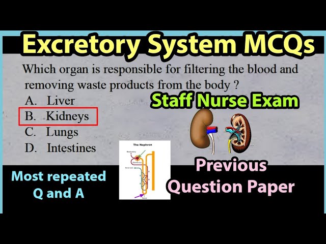 Anatomy and physiology mcq || Excretory system MCQS #anatomyandphysiologymcq