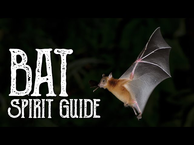 Bat Spirit Guide - Ask the Spirit Guides Oracle, Totem Animal, Power Animal, Magical Crafting