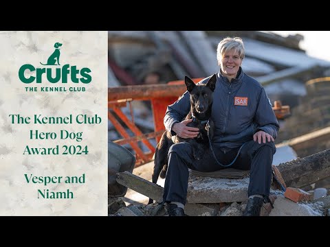 The Kennel Club Hero Dog Award Finalists 2024