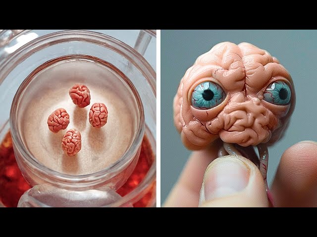 Ученые вырастили мини-мозг, у которого затем появились глаза!