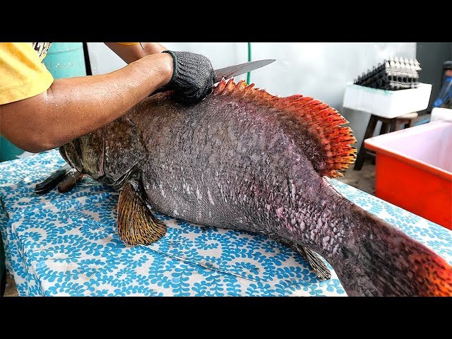 Thai Street Food - GOLIATH GROUPER FISH Cutting Skills Bangkok Seafood Thailand