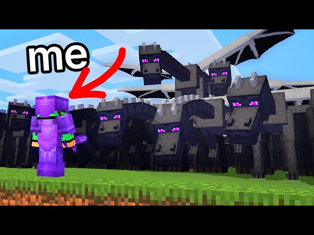 Every Mob is the Ender Dragon | Speedrun