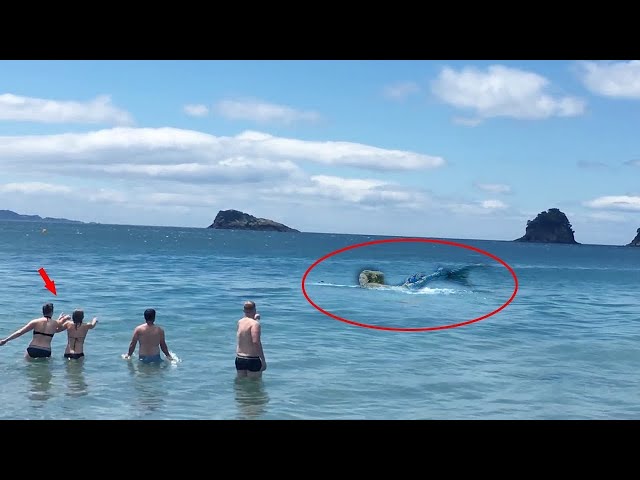 They find Mermaid In Ocean.. The Ending Will Shock You...