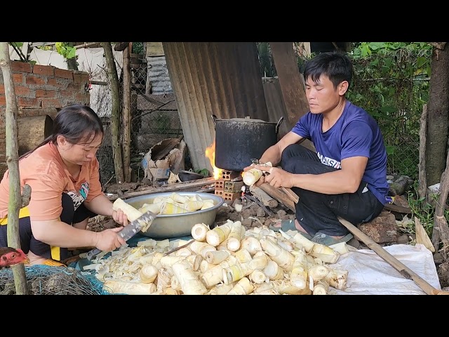 Preparation Steps to Make Natural Dried Bamboo Shoots, Future Life