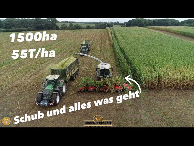 Schub und alles was geht 55T/ha & 1500ha Mais Agrarservice-MV in der Mais Kampagne Maishäckseln 2023