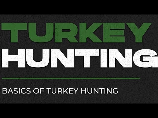 Turkey Hunting Basics