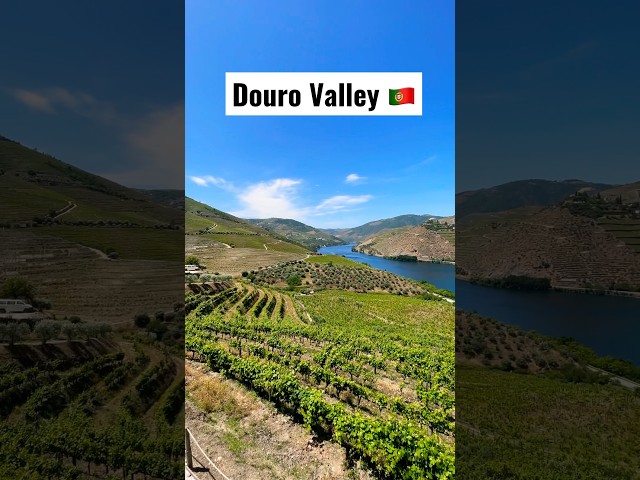 The Golden Valley of Portugal #Portugal #Douro #Travel