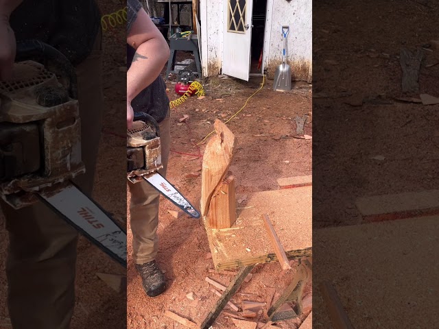 Chainsaw Carving a Cardinal in real time.