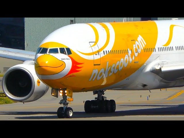 THRILLING CLOSE UP VIEW | TPE Morning Departures | Taipei Airport Plane Spotting