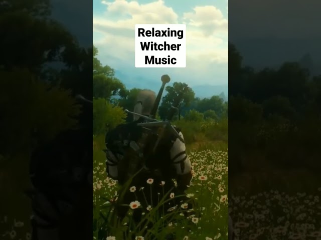 Relaxing WITCHER Music