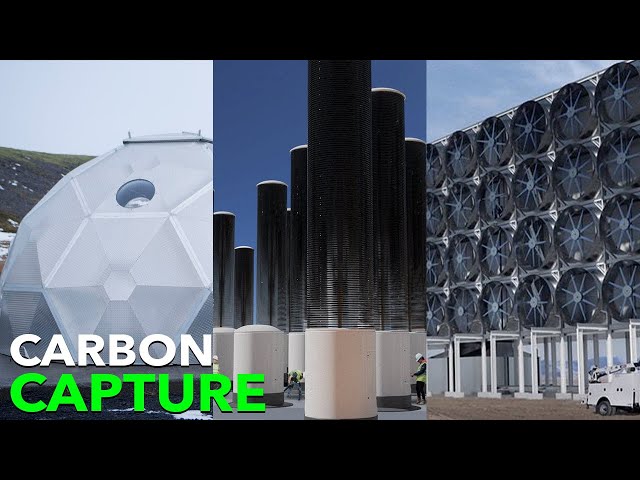 HERE ARE 7 WAYS TO PULL CARBON FROM THE ATMOSPHERE