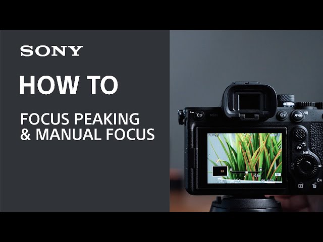 Using Focus Peaking on your Sony Camera