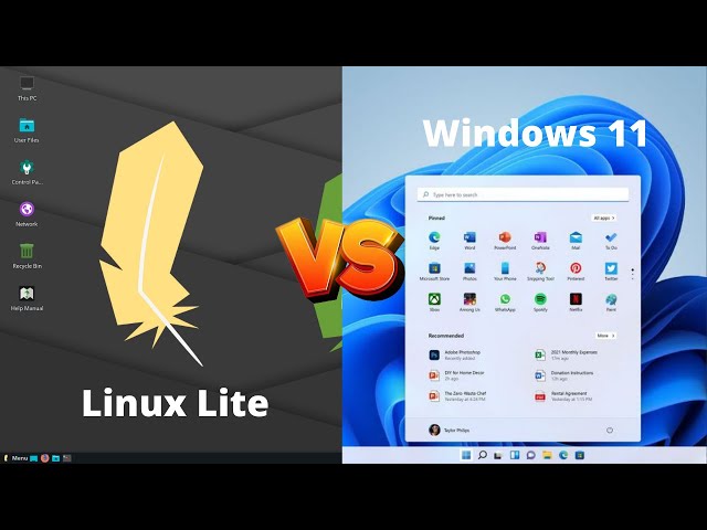 Linux Lite VS Windows 11 (Ram Consumption)!