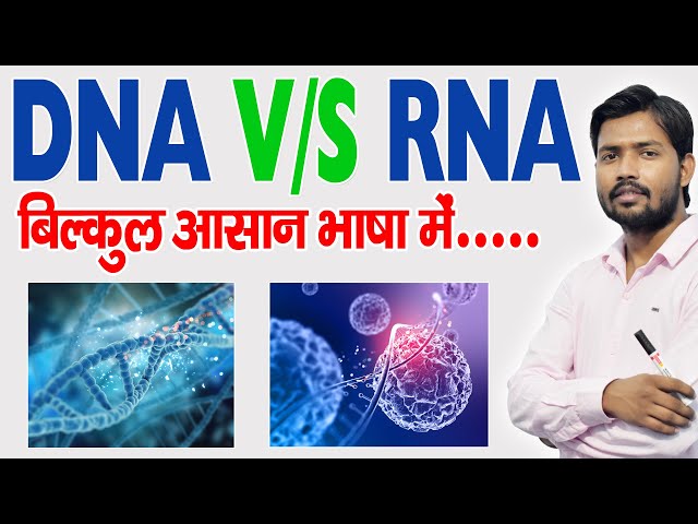 DNA और RNA में अंतर | Differences Between DNA and RNA | Khan GS Research Center