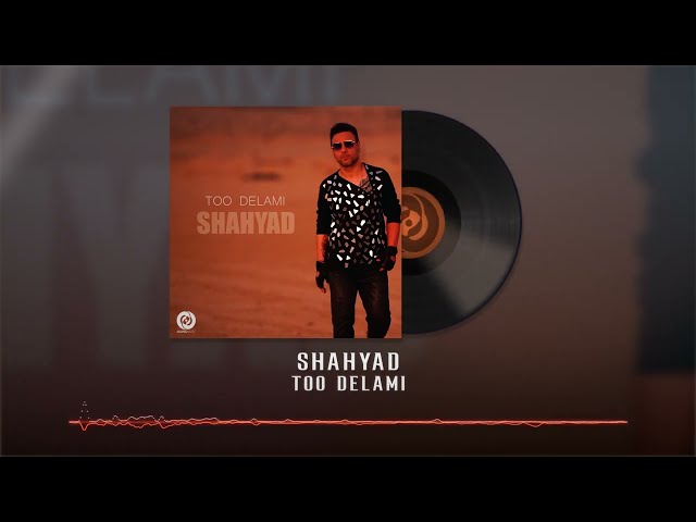 Shahyad - Too Delami OFFICIAL AUDIO | شهیاد - تو دلمی