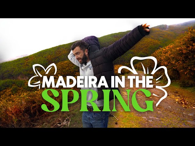 What's the SPRING weather like in MADEIRA!?