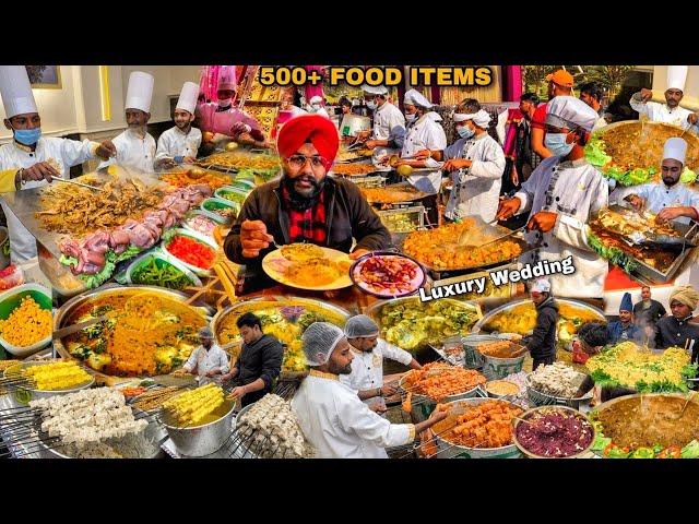 600+ Food Items | Punjab Ki luxury Wedding