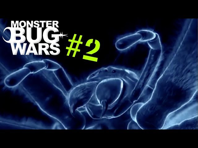 Monster Bug Wars | 3D Animation Collection #2