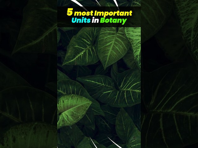 5 Important Units in Botany #Shorts #neetbotany #neetbiology #neet2024 #neetprep