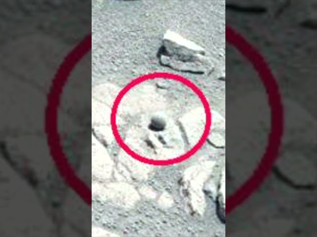 NASA Just Accidentally Made A Surprising Discovery After Finding This #shorts