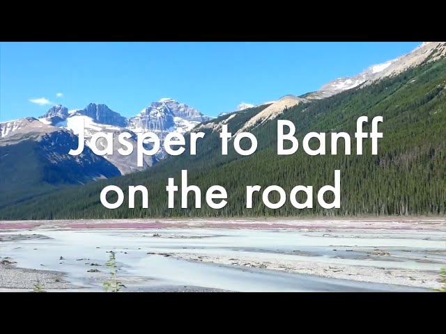 Jasper to Banff on the Road