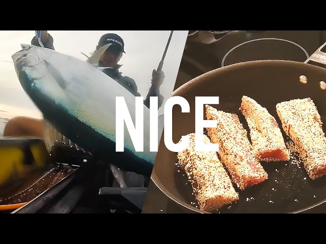 Catch and Cook - Sesame Seared Northern Bluefin Tuna - Kayak Fishing