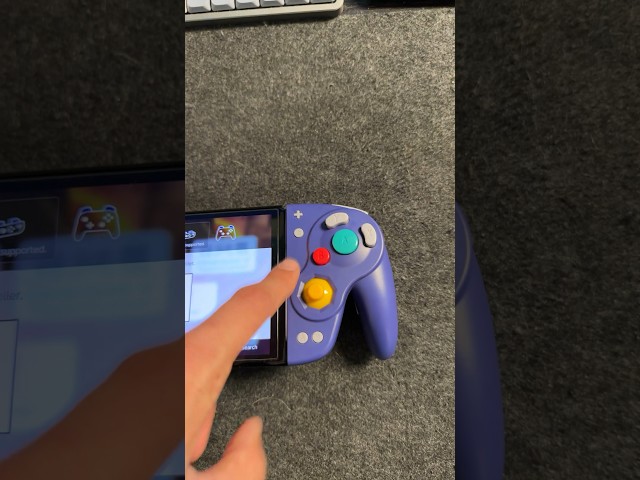 A real GAMECUBE Switch