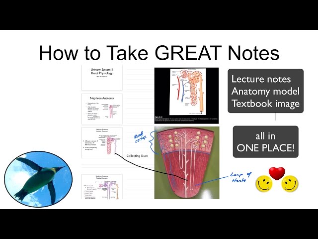 How to Take GREAT Notes