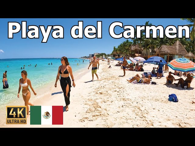 Playa del Carmen - 4K Walk on the BEST Beach in Mexico