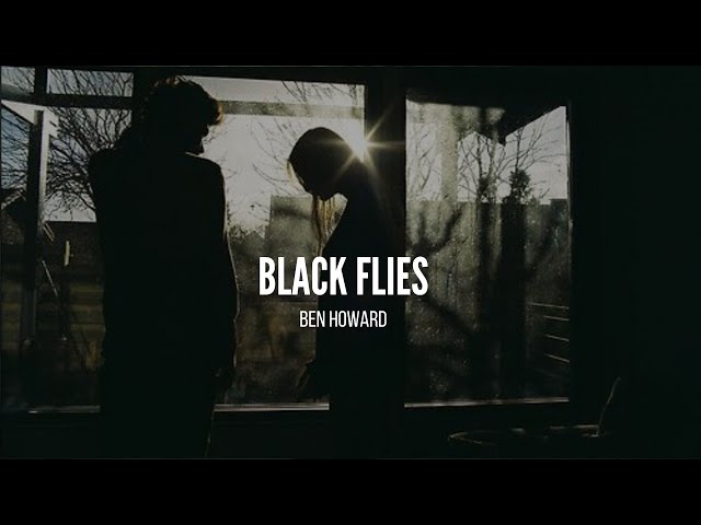 Black flies - Ben Howard (Sub Español - Lyrics)