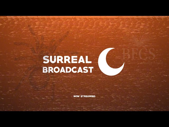 Surreal Broadcast - Araneae (1991)