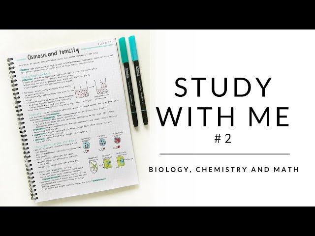 Study with me #2 | Biology notes, chemistry notes and math | studytee