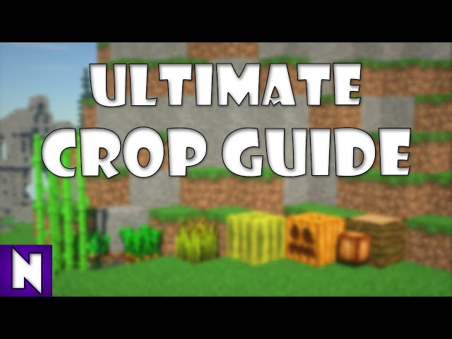 ULTIMATE CROP GUIDE - Best crop to farm - Hypixel Skyblock