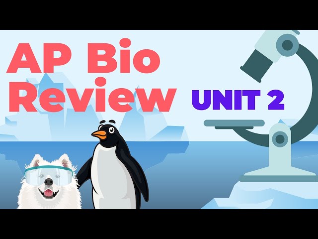 AP Biology Unit 2 Review