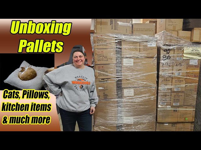 Unboxing a pallet and we found Cats, Pillows, Kitchen items and much more!