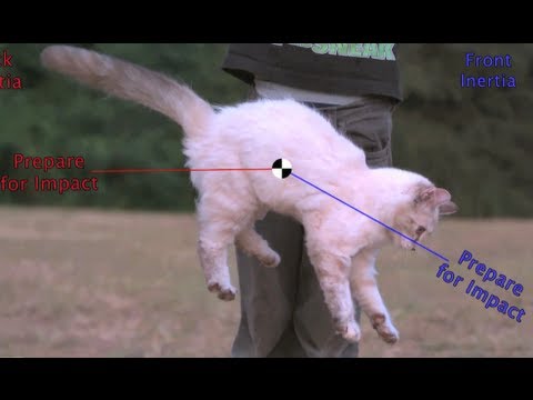 Flipping Cat Maneuver on the Space Station? #askAstro (30 sec) Smarter Every Day 83