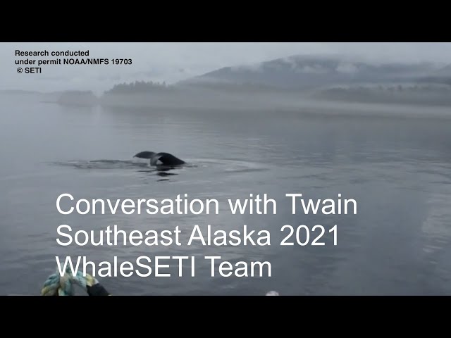 Whale Communication Research