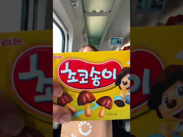 Trying Korean SNACKS on a bullet train from Seoul to Busan 🇰🇷😱 #shorts