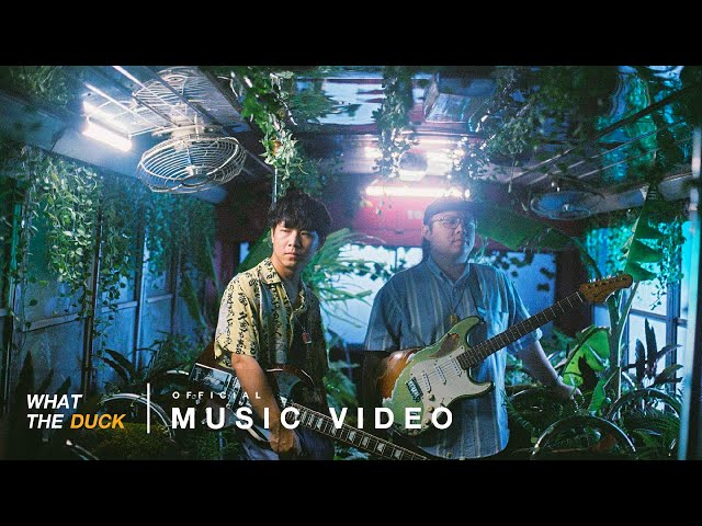 Whal & Dolph - ไม่เจอตั้งนาน (You're in My Eyes) [Official MV]
